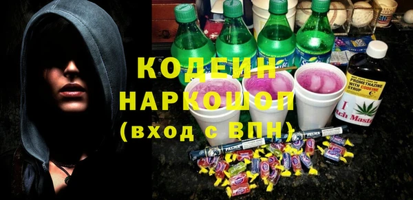 шишки Бородино