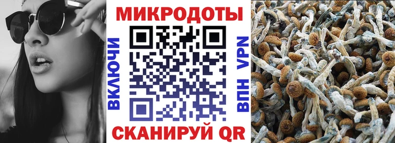 Купить где  Гулькевичи  Псилоцибиновые грибы Magic Shrooms 